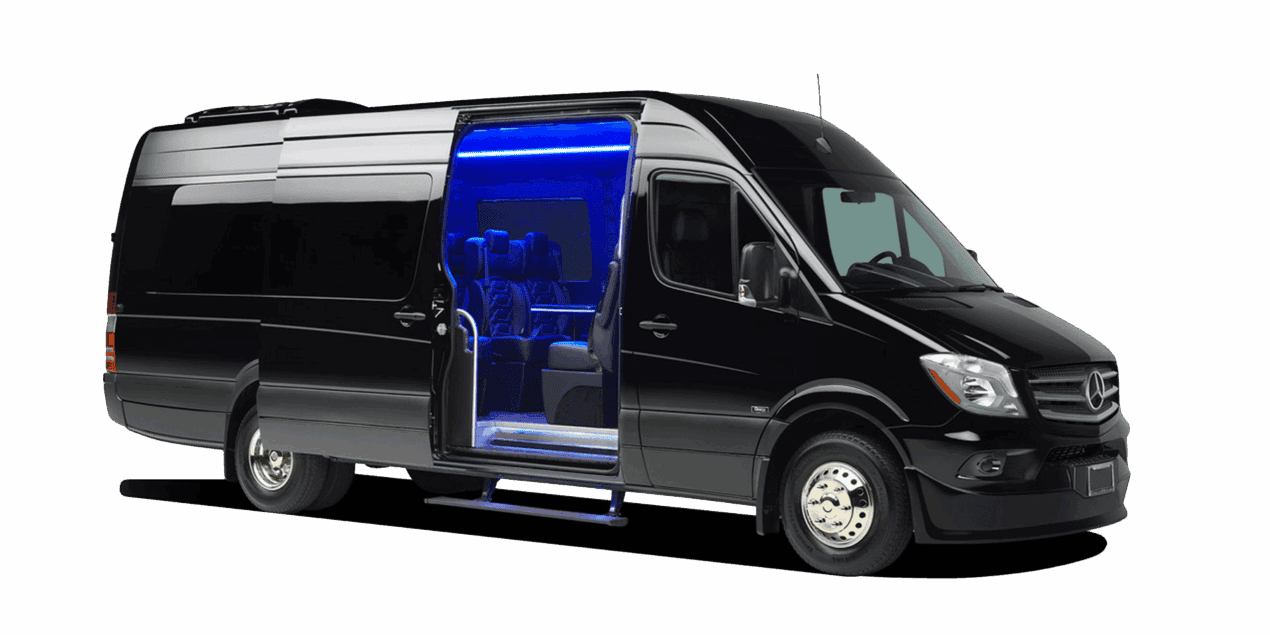 Sprinter VIP